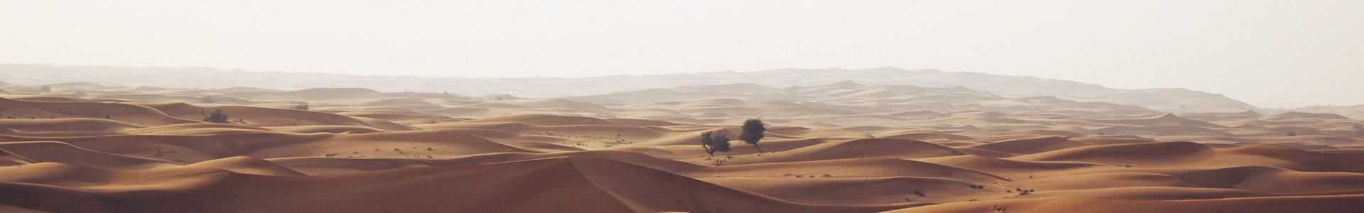 пԴó޹˾